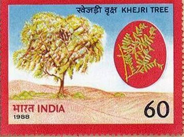 khejri-boom-stamp-india-prosopis-cineraria