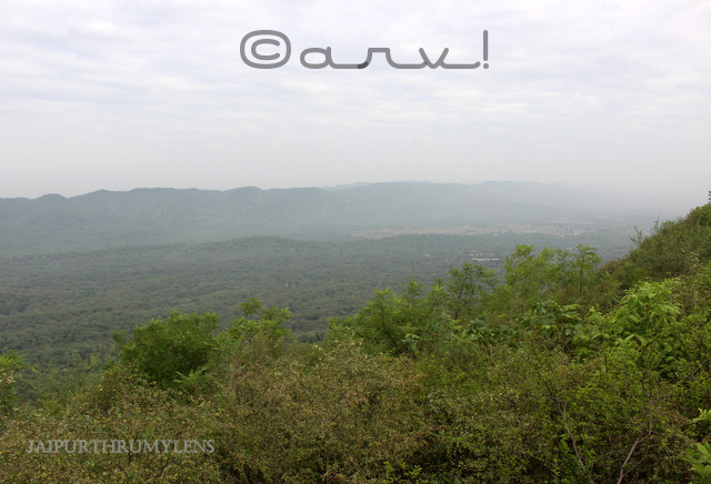 trekking-jaipur-nahargarh-biological-zoological-park-view