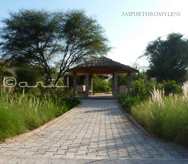 landscaping-rest-hut-toilet-nahargarh-zoological-biological-park-jaipur