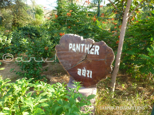 signboard-panther-nahargarh-zoological-biological-park-jaipur-zoo