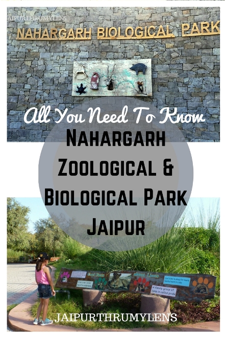 nahargarh zoological and biological park jaipur zoo review guide