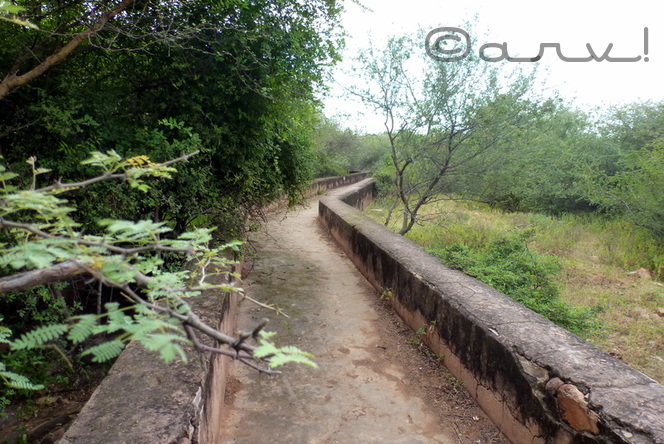 water-walk-jaipur-nahargarh-fort