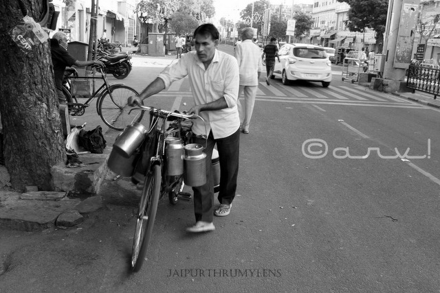 milk suppliers-jaipur-market streets