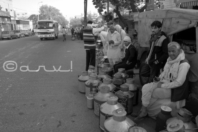 jaipur-milk-sellers-in-milk-market-doodh-mandi-jaipurthrumylens
