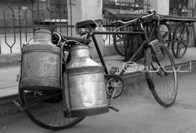 cycle-milk-market-in-jaipur-doodh-mandi-jaipurthrumylens