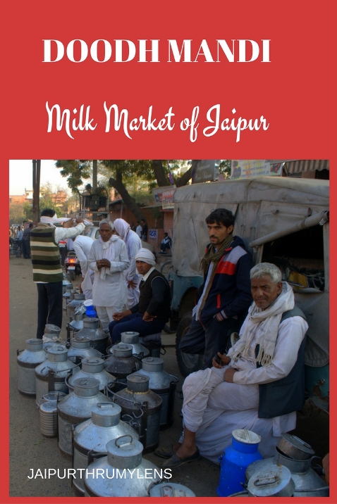 Doodh Mandi Jaipur Milk Market
