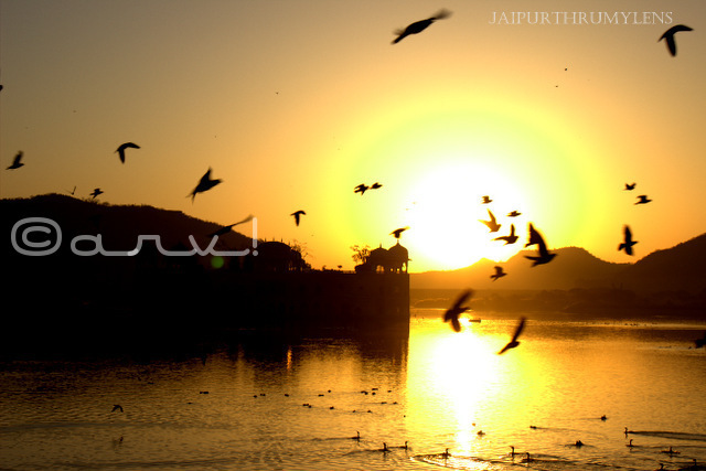 jaipur sunrise at the water palace of jalmahal mansagar lake jaipurthrumylens
