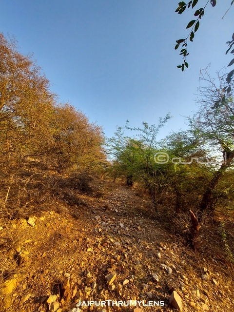 bhuteshwar-nath-mahadev-trek-jaipur-rajasthan-india-blog