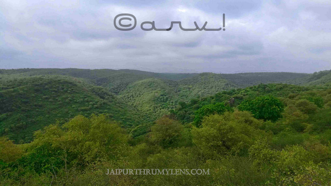 trekking-in-jaipur-aravali-hill-forest-monsoon