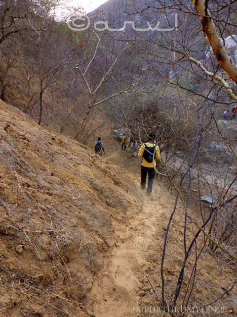 hiking-trekking-jaipur-forests