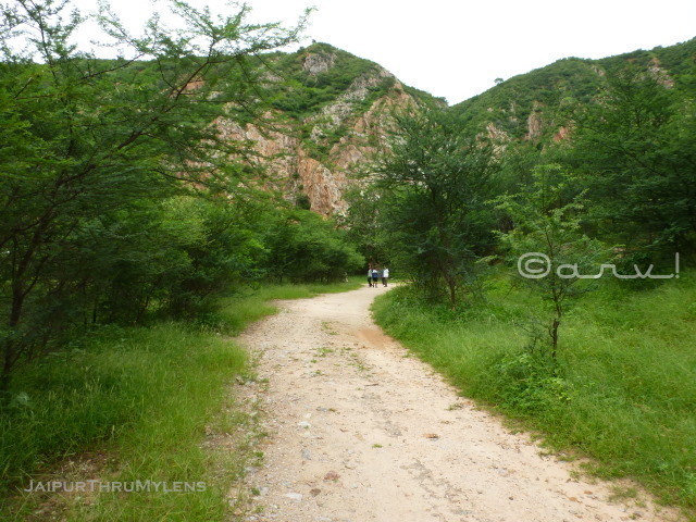 mountaineering-and-adventure-institute-jhalana-trekking-jaipur