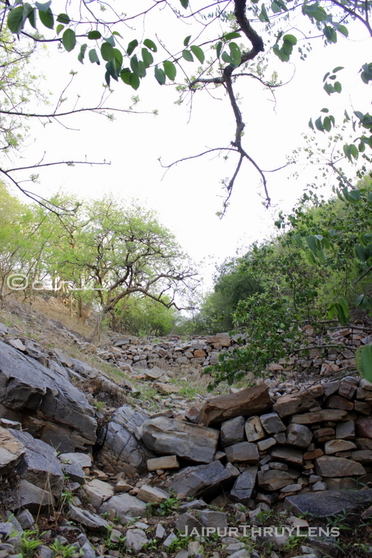 trekking-route-jaipur-hathni-kund