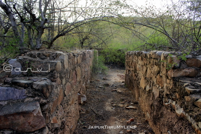 dravyawati-river-history-athunia-dam-nahargarh-fort-hill