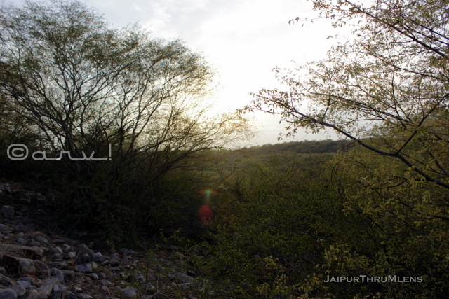 jaipur trekking club-hathni-kund