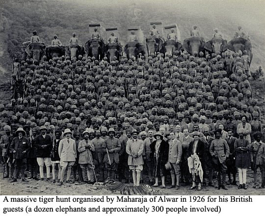 tiger-hunting-british-raj-alwar