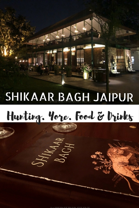 Shikaar Bagh Jaipur at Narain Niwas Hotel Jaipurthrumylens #shikaarbagh #shikarbagh #jaipur #food #drinks #restaurant