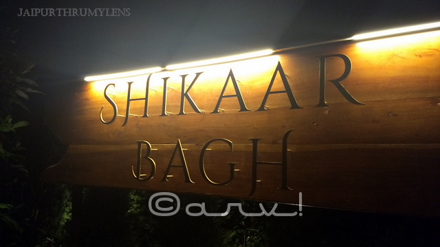 shikaar-bagh-restaurant-bar-narain-niws-hotel-jaipur-photo