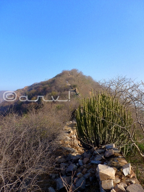 weekly-photo-challenge-seasons-aravali-hills-in-jaipur-jaipurthrumylens