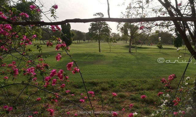 rambagh-golf-course-club-jaipur-blog