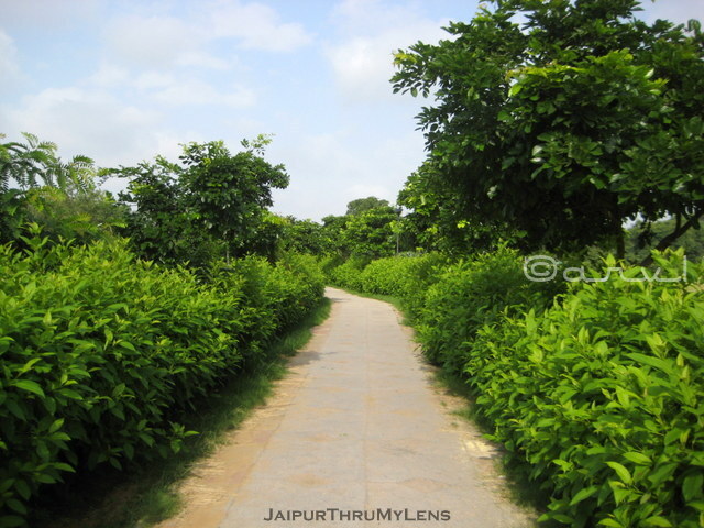 central-park-jaipur-area-internal-walkway