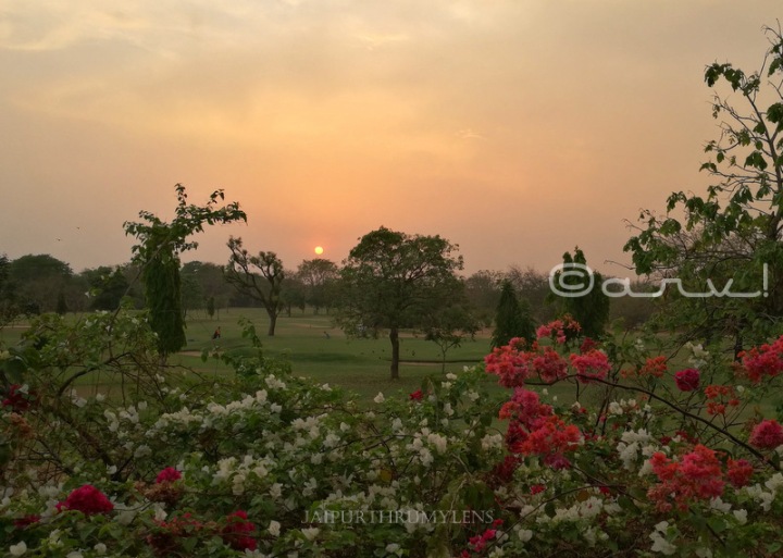 rambagh-golf-club-jaipur-sunset-blog
