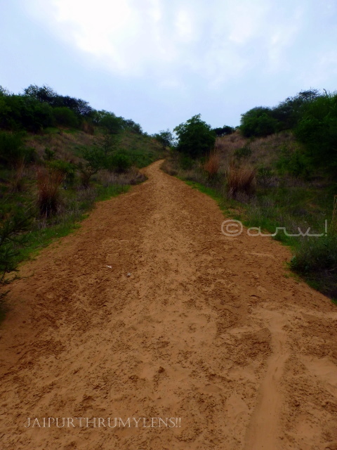 jaipur desert camp sand dunes laxman dungari