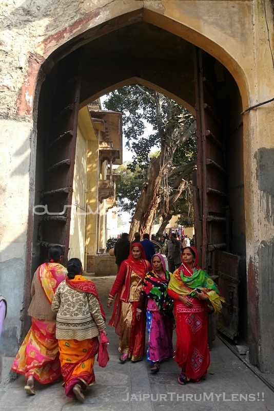 rajasthani-women-costime-dress-celebration-jaipur