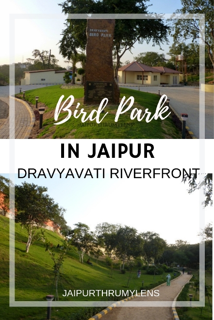 bird park-jaipur-dravyavati-riverfront #jaipur #park #travel
